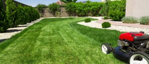 How to Handle Lawn Pests Effectively