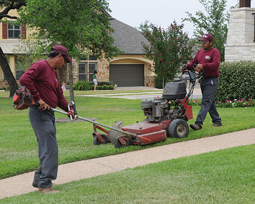 Alexandria, MN Lawn Care