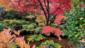 Professional Landscaping Services That Enhance Home Appeal and Property Value